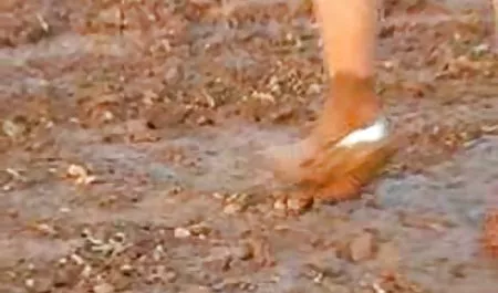 டிரிபிள் ஆபாச வீடியோக்கள், பெண்கள் 50
